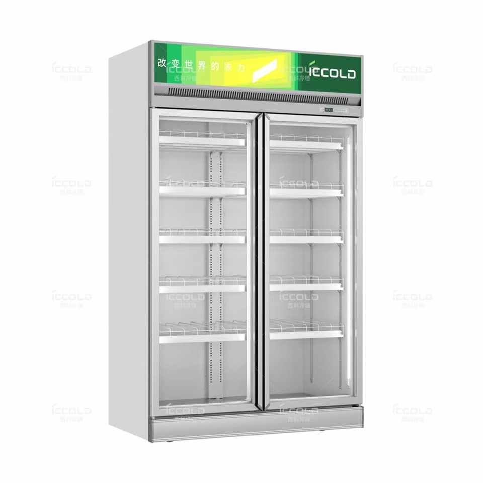Glass Door Display Freezer