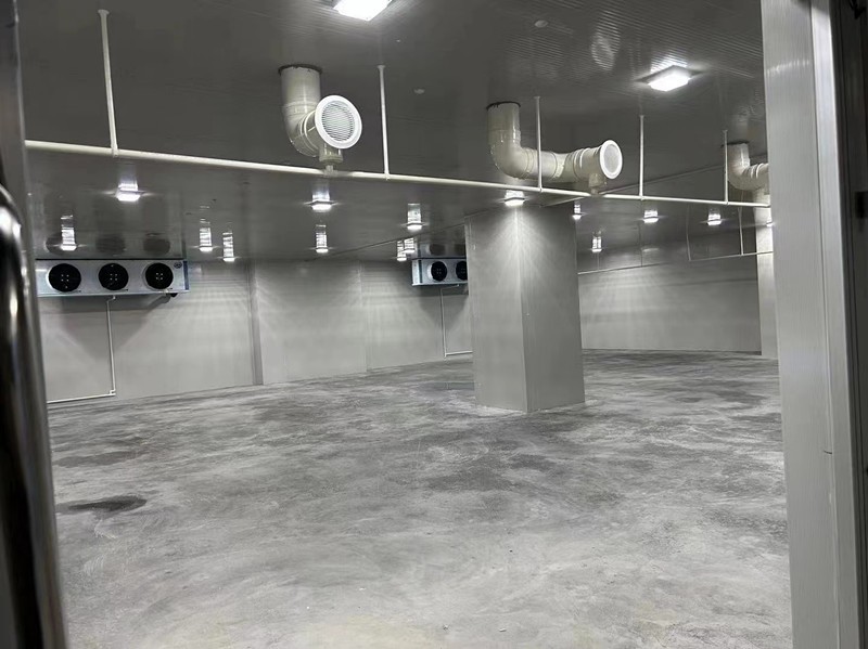 20251208132045438200 20251208132045438200